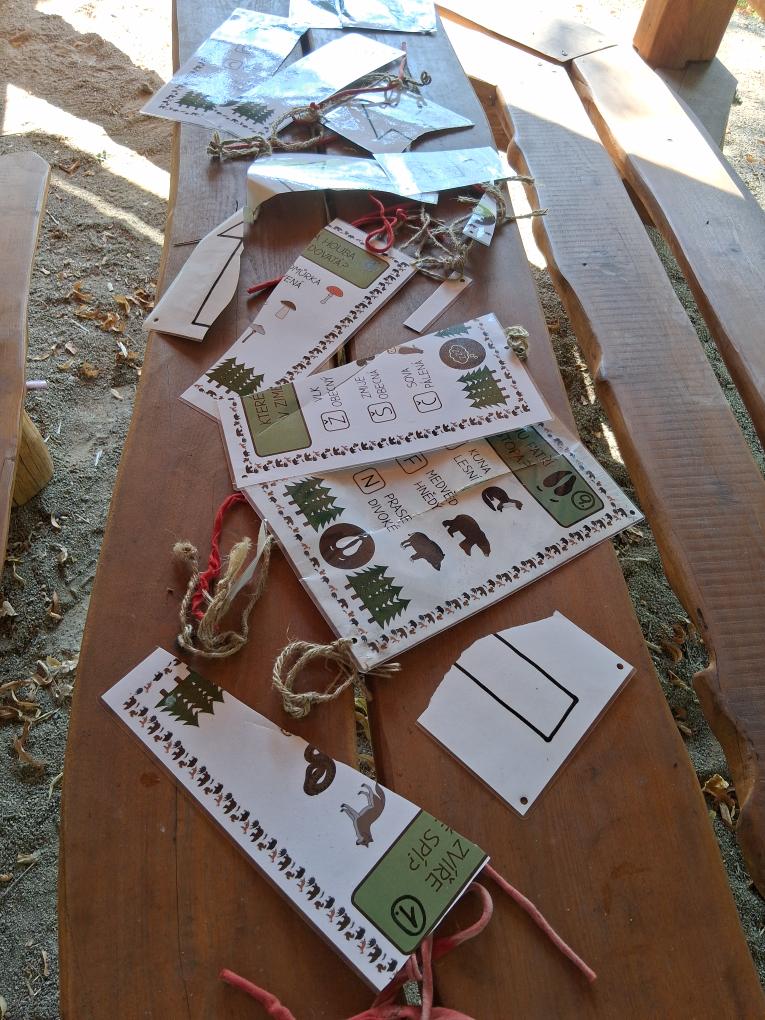 Zničená lesní stezka pro děti.